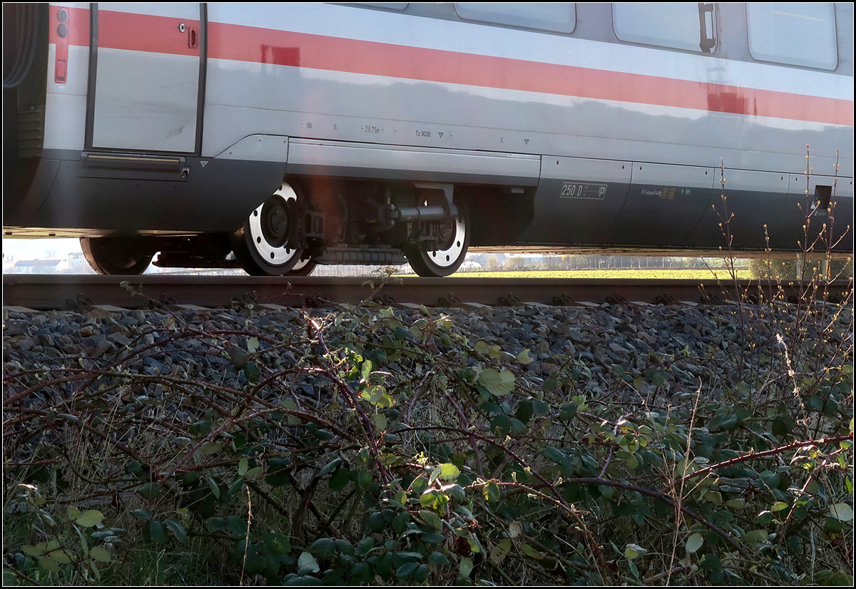 Ein ICE rollt durchs Remstal -

Unter dem Zug mit dem roten Streifen, ein leuchtend grüner des beginnenden Frühlings.
ICE 4 nach München auf Remsbahn bei Weinstadt-Endersbach.

23.03.2020 (M)