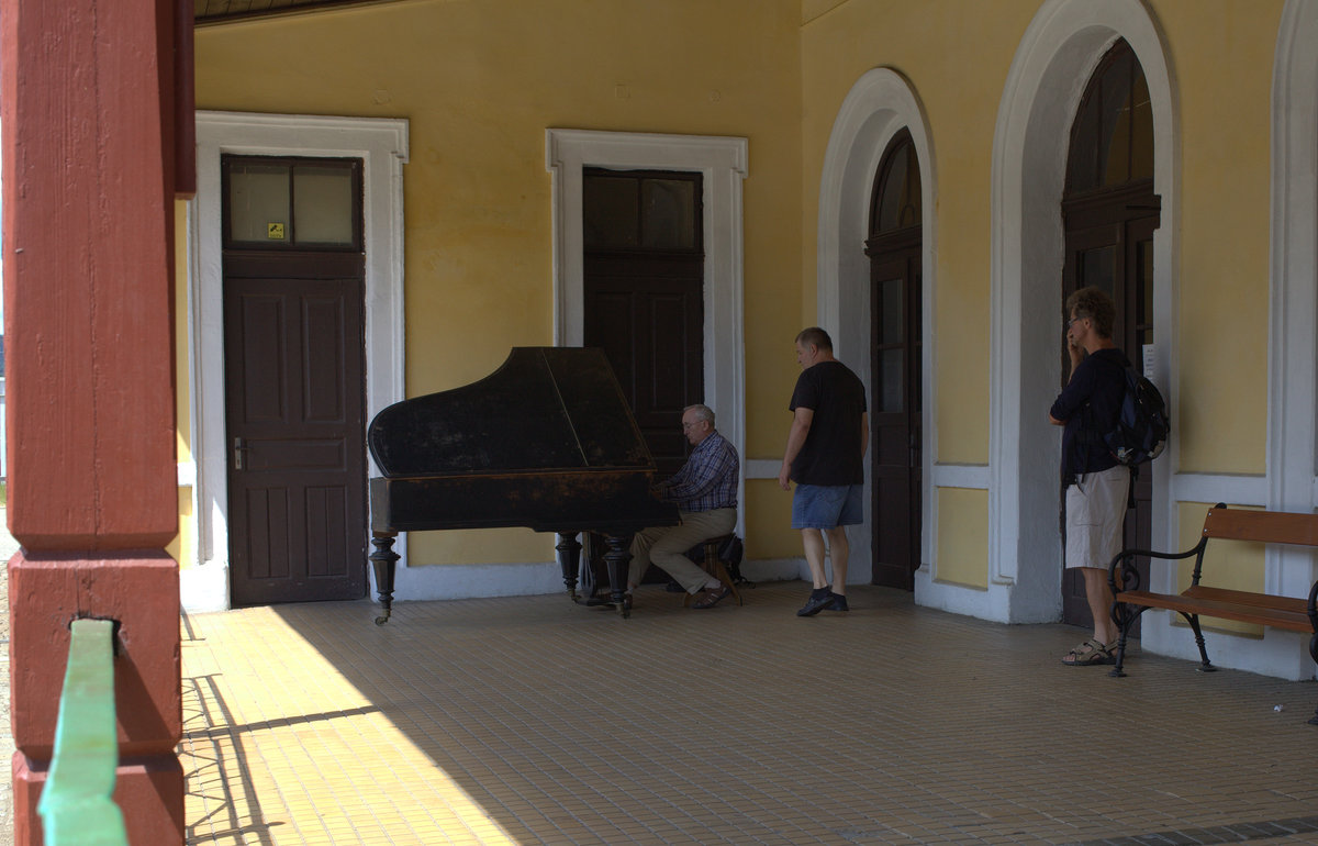 Ein Klavierspieler verkürzt die Wartezeit der Reisenden in Usti nad Orlici.
10.06.2017 12:18 Uhr.
