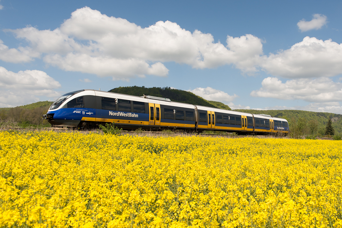 Ein kleiner frühlingshafter Pfingstgruß an alle Kollegen.
643 305 ist am 04.05.2016 bei Godelheim in Richtung Höxter unterwegs.