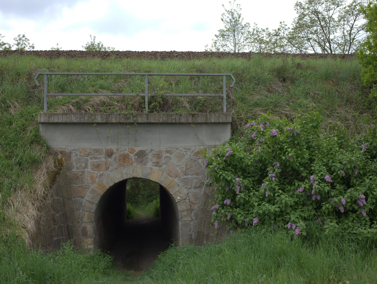 Ein kleiner Fußgängerdurchlass an der Strecke Dresden-Berlin Höhe Niederau.
03.05.2014 12:03 Uhr.