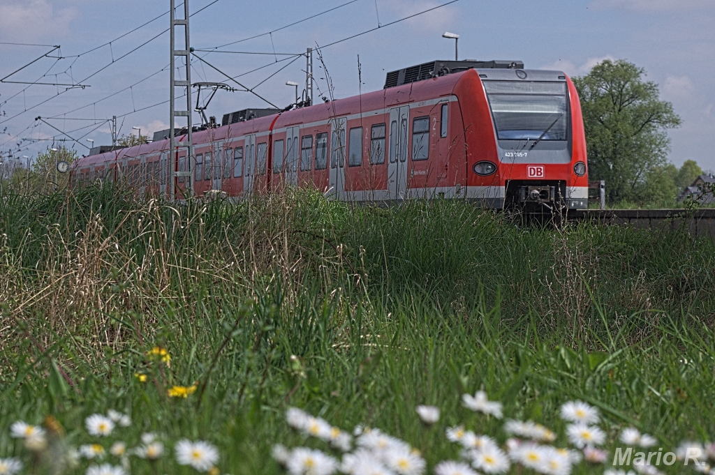 Ein kleines Experiment: Für den ET 423 765 der S-Bahn München hab ich mich hingekniet und gebetet, dass das Bild was wird. Siehe da, es sieht recht interessant aus, in Pulling am 22.04.2014
