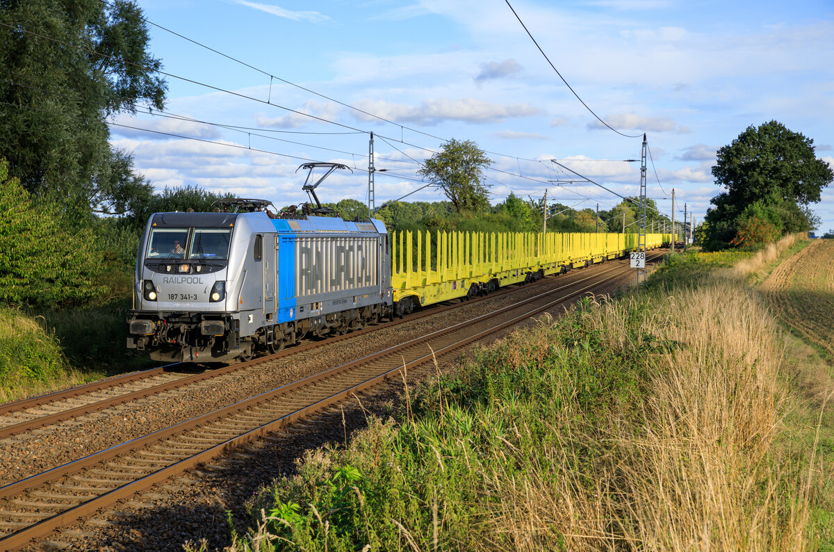 Ein Leerholzzug nach Stralsund Rügendamm, gezogen von der Railpool 187 341. Aufgenommen am 30.08.2022 in Engelswacht.