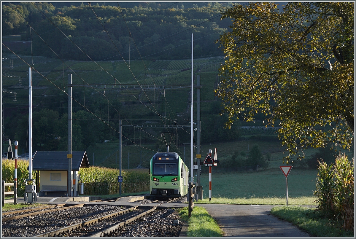 Ein Licht- und Schattenspiel in Villy mit dem nach Aigle ausfahrenden TPC Beh 2/6 543  La Cathédrale .

 
11. Oktober 2021