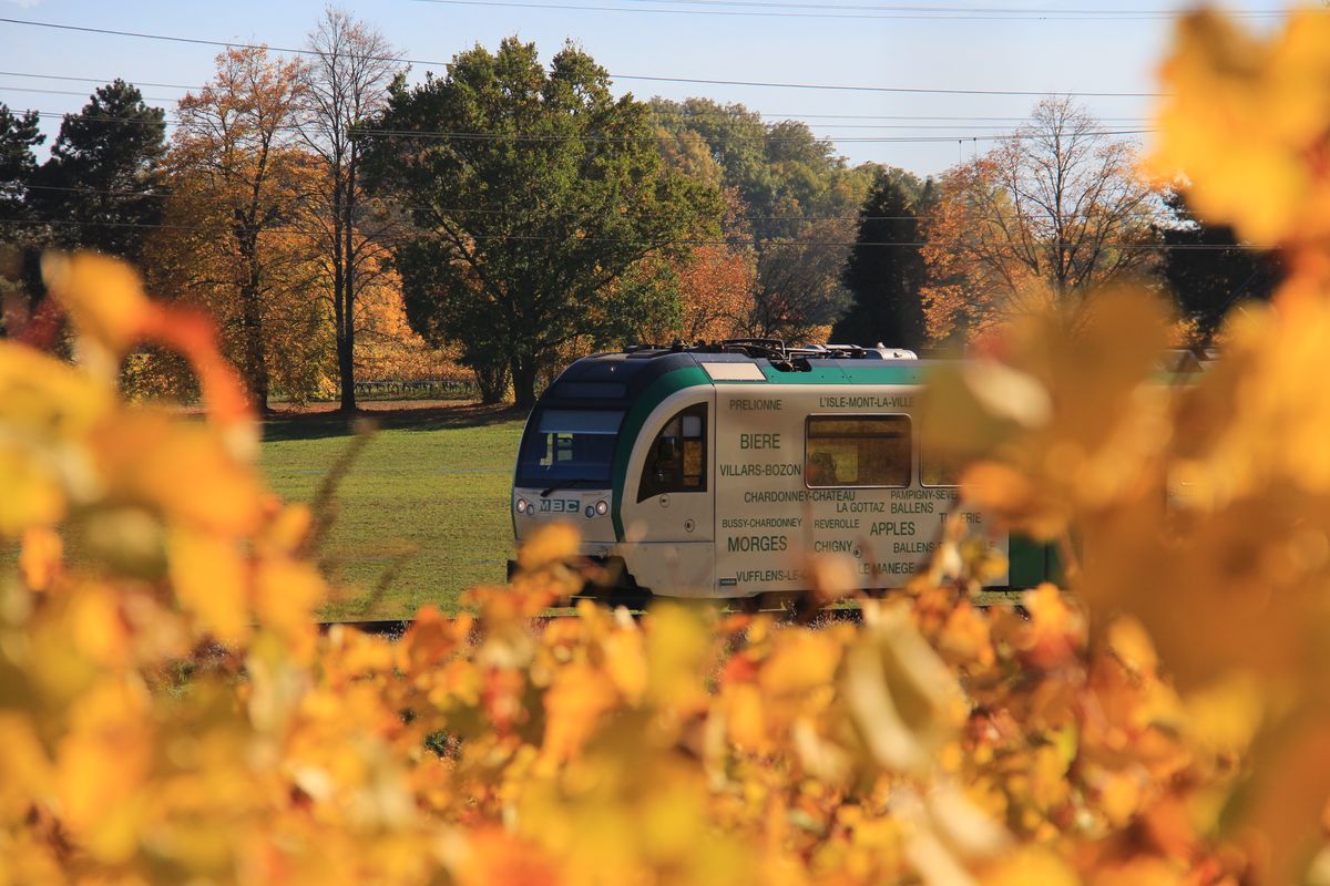 Ein MBC-Zug durch die goldenen Rebberge gesehen. Bei Vufflens, 17.Oktober 2017 