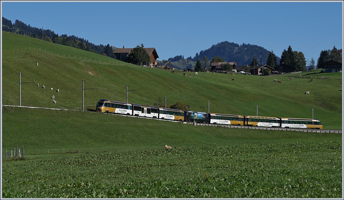 Ein MOB Panoramic Express zwischen Gruben und Schönried auf dem Weg von Montreux nach Zweismmen.
30. Sept. 2016