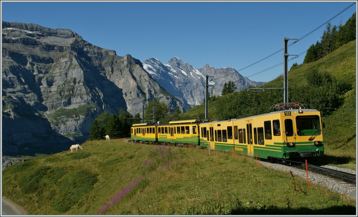 Ein moderner WAB-Pendelzug auf der Fahrt zur Kleinen Scheidegg kurz vor seinem Ziel. 
21. August 2013 