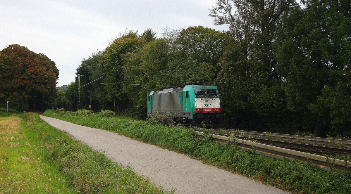 Ein Nachschuss von der Cobra 2814 fährt als Lokzug aus Aachen-West nach Belgien und färt die Gemmenicher-Rampe hoch.
Aufgenommen an der Montzenroute am Gemmenicher-Weg bei Sonne und Wolken am Mittag vom 29.9.2014.