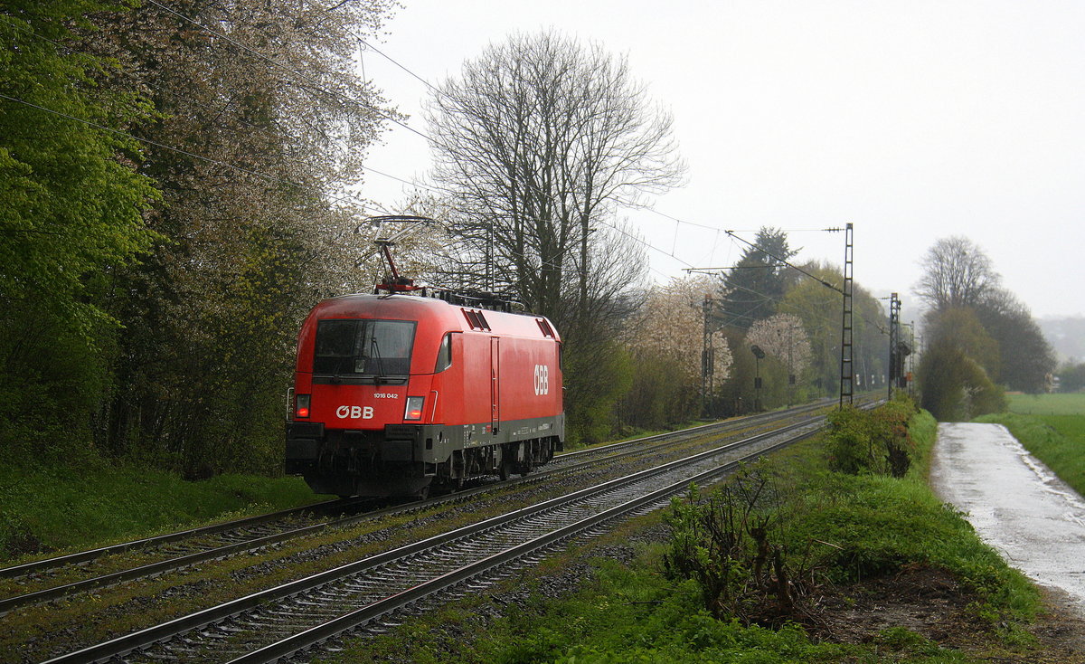 Ein Nachschuss von dem Taurus 1016 042 von ÖBB kommt auf dem  falschen Gleis  von einer Schubhilfe vom Gemmenicher Tunnel zurück nach Aachen-West. Aufgenommen an der Gemmenicher-Rampe am Gemmenicher-Weg auf dem Montzenroute. 
Bei Regenwetter am Nachmittag vom 25.4.2016.