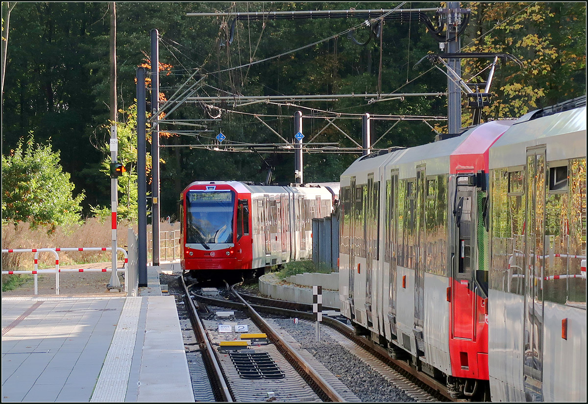 Ein neue Endpunkt der Kölner Linie 3 -

Ein Stadtbahnzug der Linie 3 verlässt die Haltestelle Görlinger Zentrum in Richtung Innenstadt.

16.10.2019 (M)

