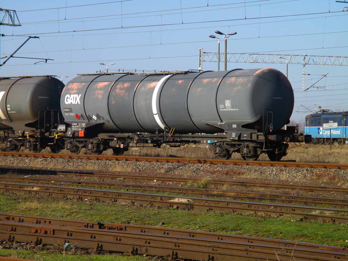 Ein niederländischer Zacns,am 08.Februar 2020,im polnischen Szczecin Gumience.