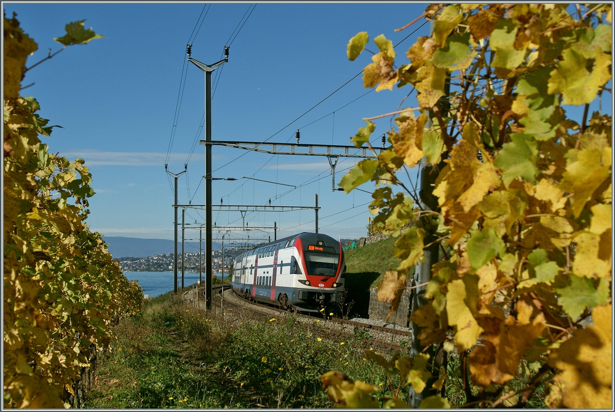 Ein RABe 511 auf dem Weg nach Vevey inmitten bunter Reben bei Cully.
28. Okt. 2013
