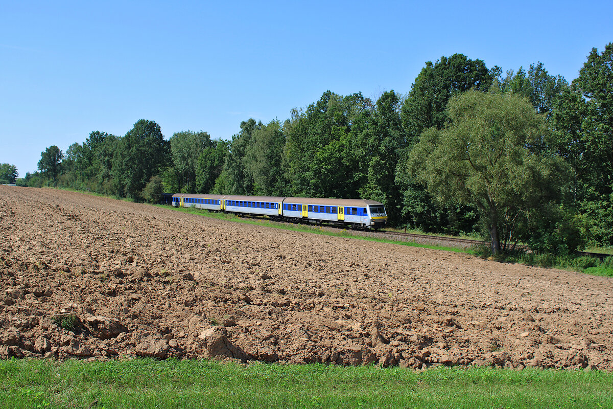 Ein RE6 (Leipzig Hbf - Chemnitz Hbf) der MRB erreicht mit einem Wittenberger Steuerwagen den kleinen Ort Himmelhartha. (19.08.2023)