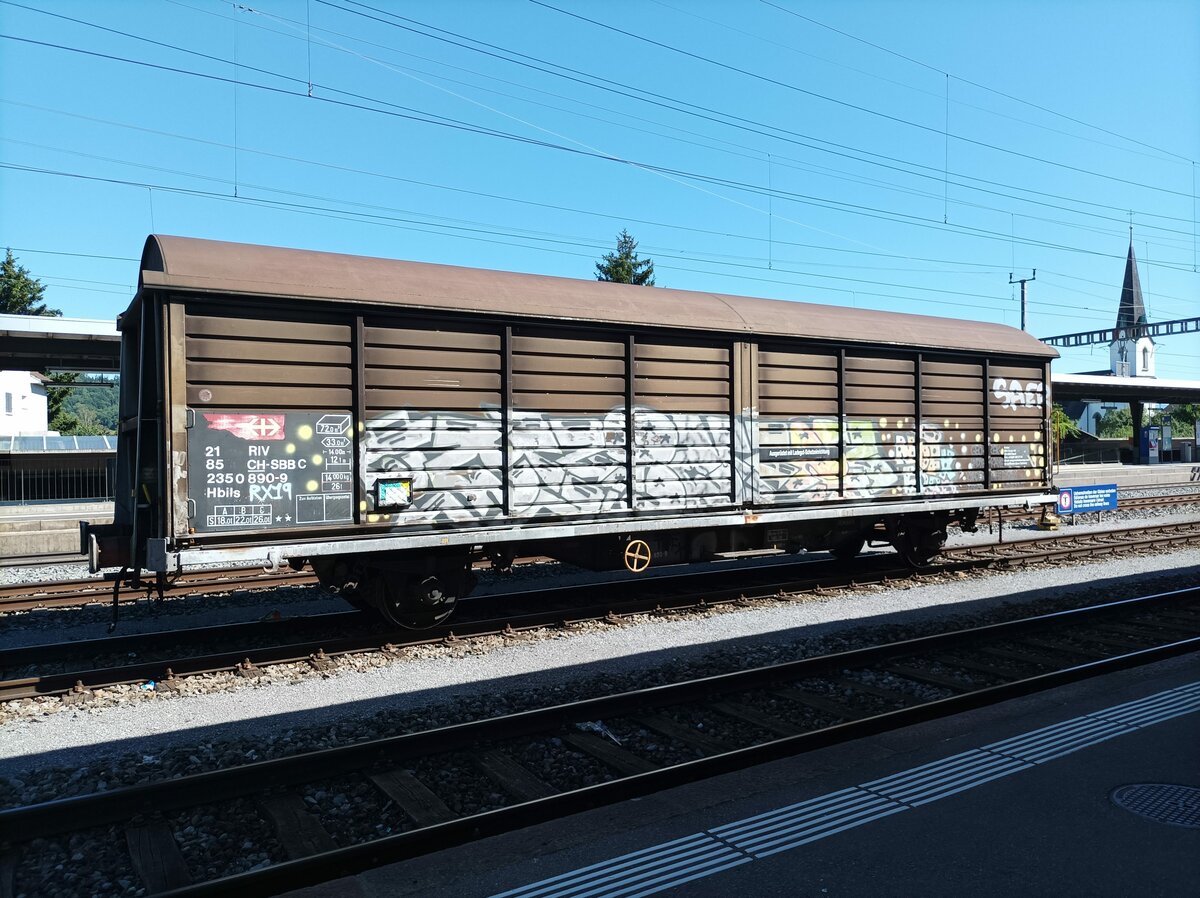 Ein Riv Güterwagen am 2.7.22 im Bahnhof Kaiseraugst 