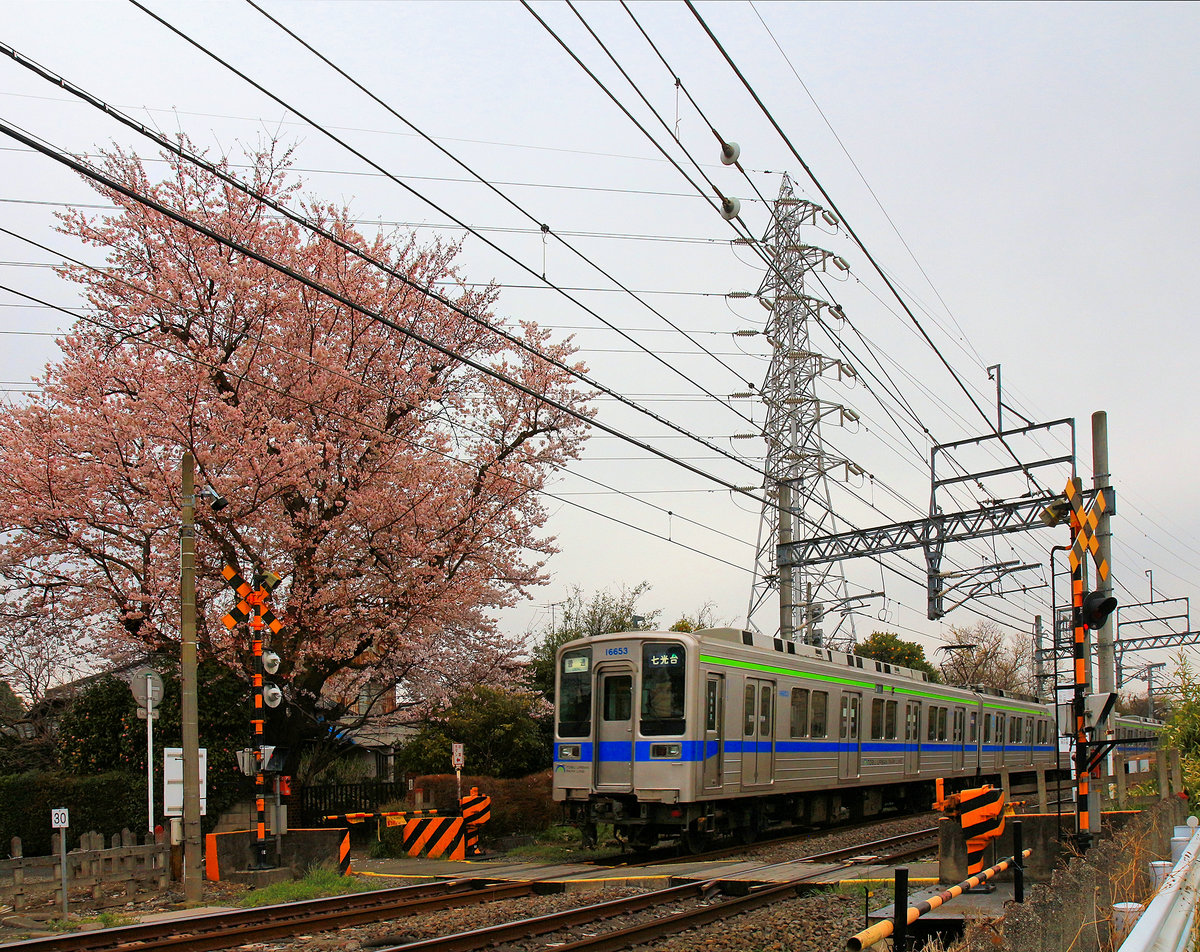 Ein S-Bahnzug des Tôbu-Konzerns, Serie 10000 (Baujahre 1983-1996) in Nanasato, nördlich von Tokyo, 30.März 2019.  Die Serie 10000 besteht aus 486 Wagen, zusammengestellt als 2-, 4-, 6-, 8- und 10-Wagenzüge. Ein Teil der Züge fährt auf die Tôkyô Metro U-Bahn ein und gelangt über deren Yûrakuchô Linie durch die ganze Stadt.    