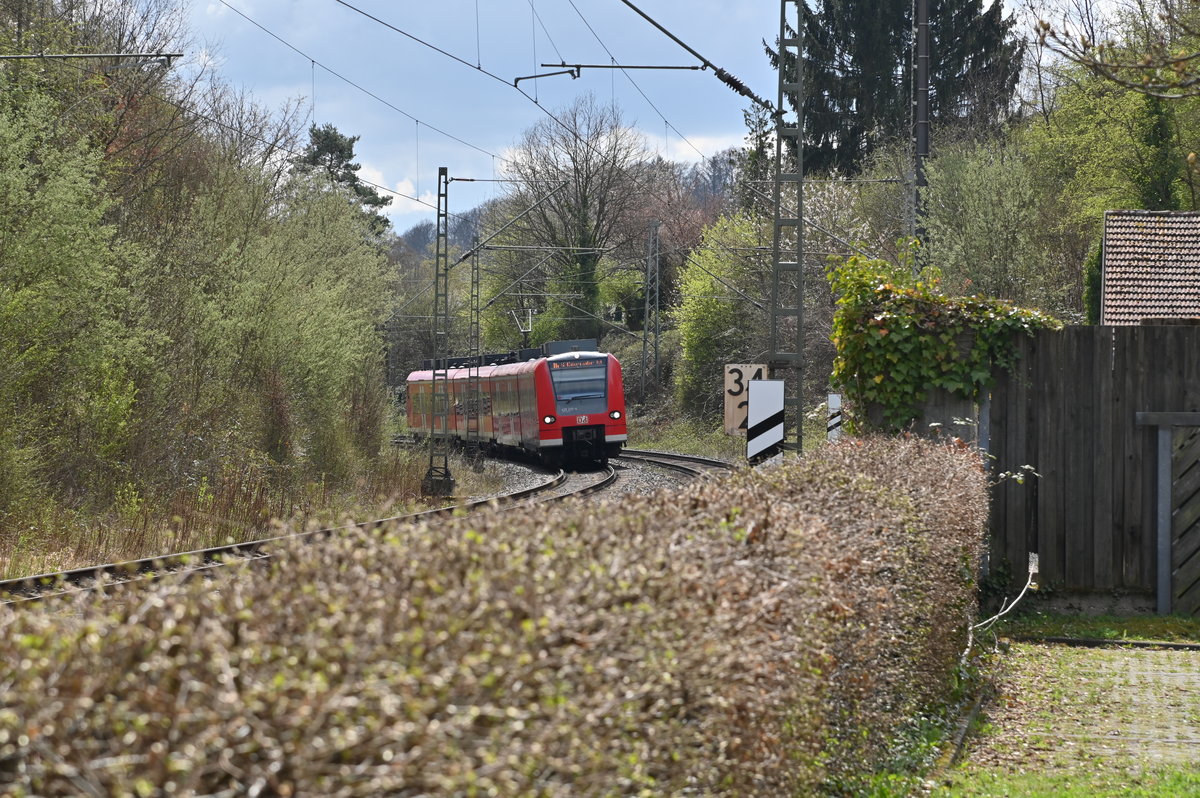 Ein S2 Zug kommt ums Eck, es ist der 425 225/727 der am heutigen Montag den 12.4.2021 auf der Neckartalbahn bei Neckargerach vors Objektiv kommt.