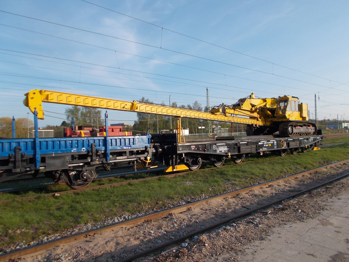 Ein Samms mit einer Ramme,am 29.April 2018,in Bergen/Rügen.