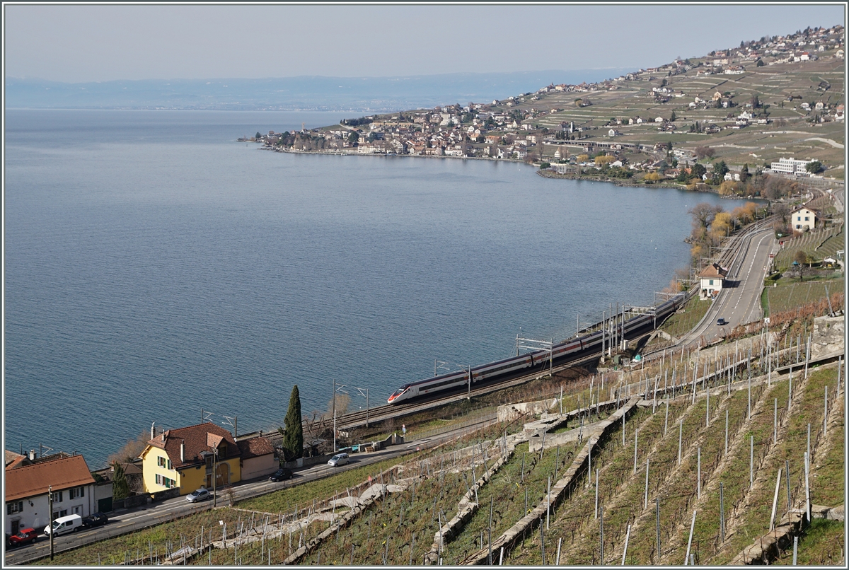 Ein SBB RABe 503 als EC 52 von Milano nach Genve bei Treytorrens kurz vor Cully.
22. Feb. 2016