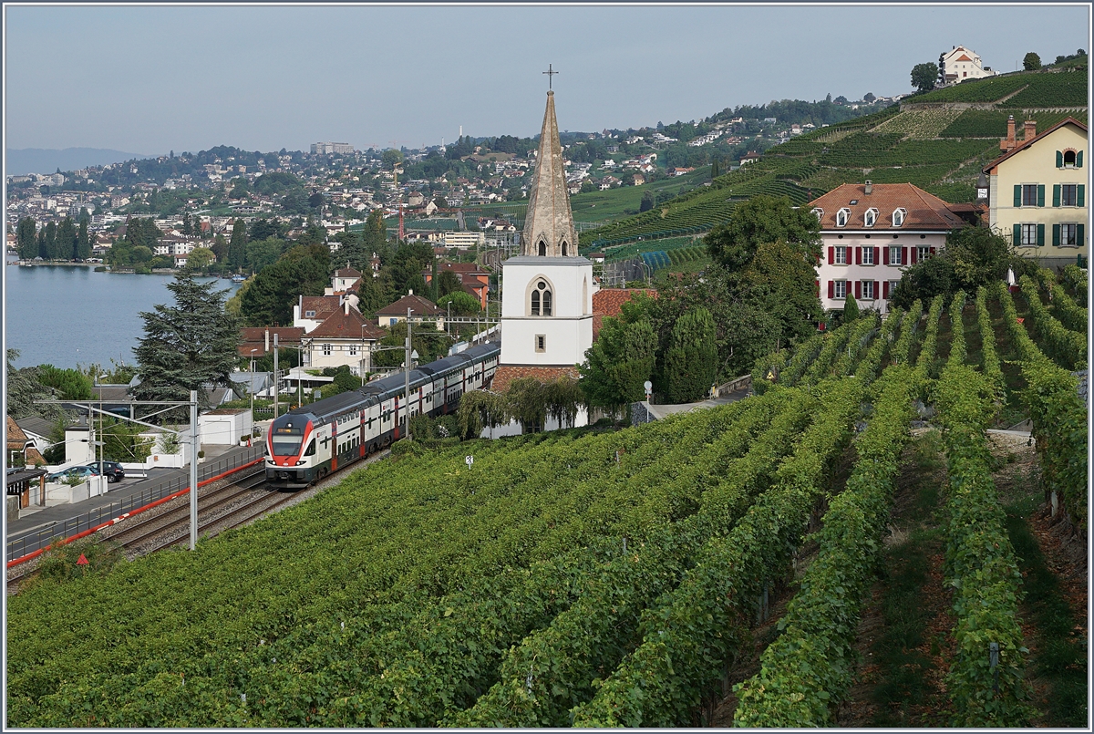 Ein SBB RABe 511 als RE Genève - Vevey bei Villette VD; die Trauben reifen prächtig, werden wohl bald gelesen und werden sich die Blätter verfärben und die bunte Zeit der Herbstfotografie beginnt...
30. Aug. 2017