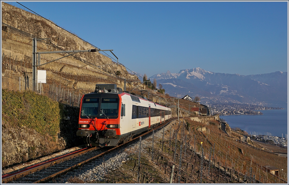 Ein SBB RBDe 560 mit B und ABt ist als  Train des Vignes  zwischen Vevey und Puidoux oberhalb von St-Saphorin unterwegs. 
25. Jan. 2019