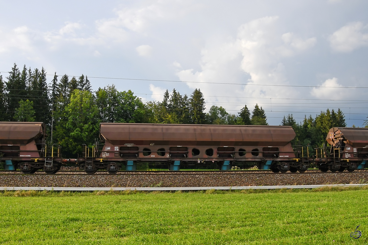 Ein Schwenkdachwagen mit dosierbarer Schwerkraftentladung Tadns Mitte August 2020 bei Fuchsreut.