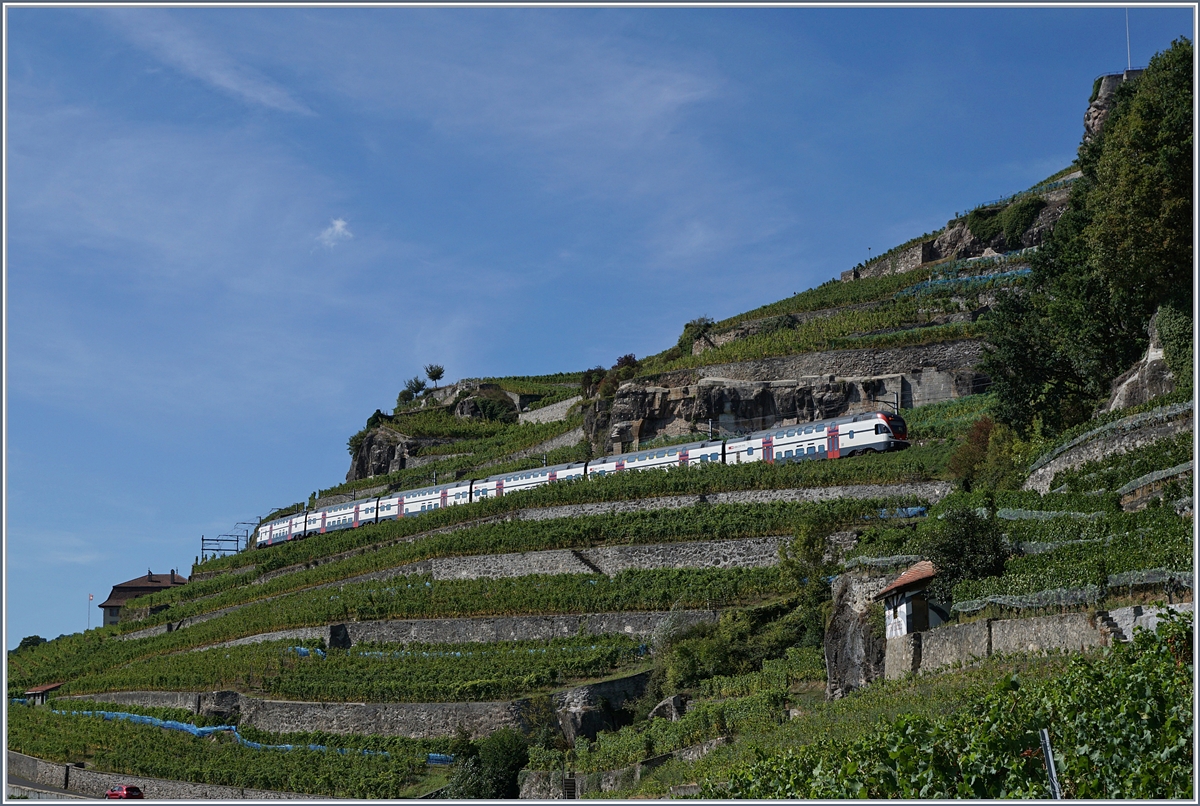 Ein sechsteiliger SBB RABe 511 als RE 30124 von Fribourg nach Genève (via Vevey) schlänget sich zwischen Chexbres und Vevey durch die Weinberge und wird bald den 20 Meter langen Salanfe Tunnel erreichen.
26. August 2018