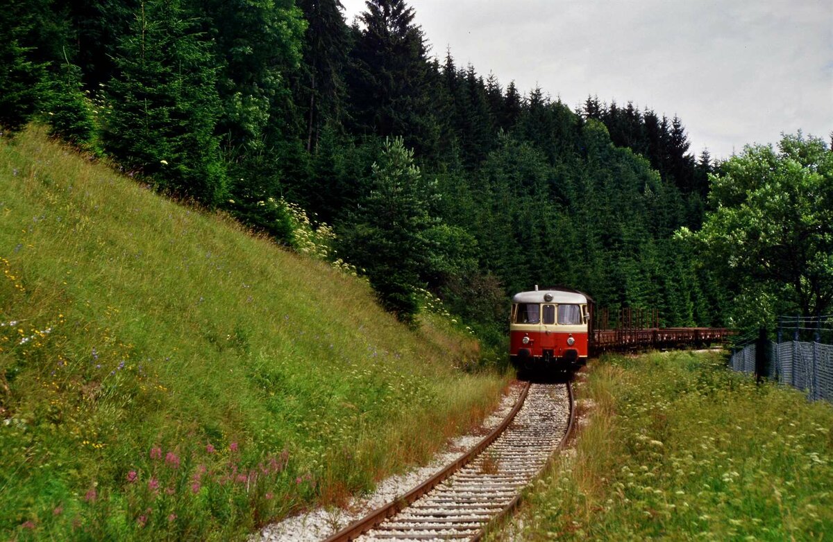 Ein solcher MAN-Schienenbus der Hohenzollerischen Landesbahn war fähig, viel zu schleppen! Er hatte zwei leistungsfähige Motoren und das reichte auch am 29.10.1984 für einen längeren Zug.
