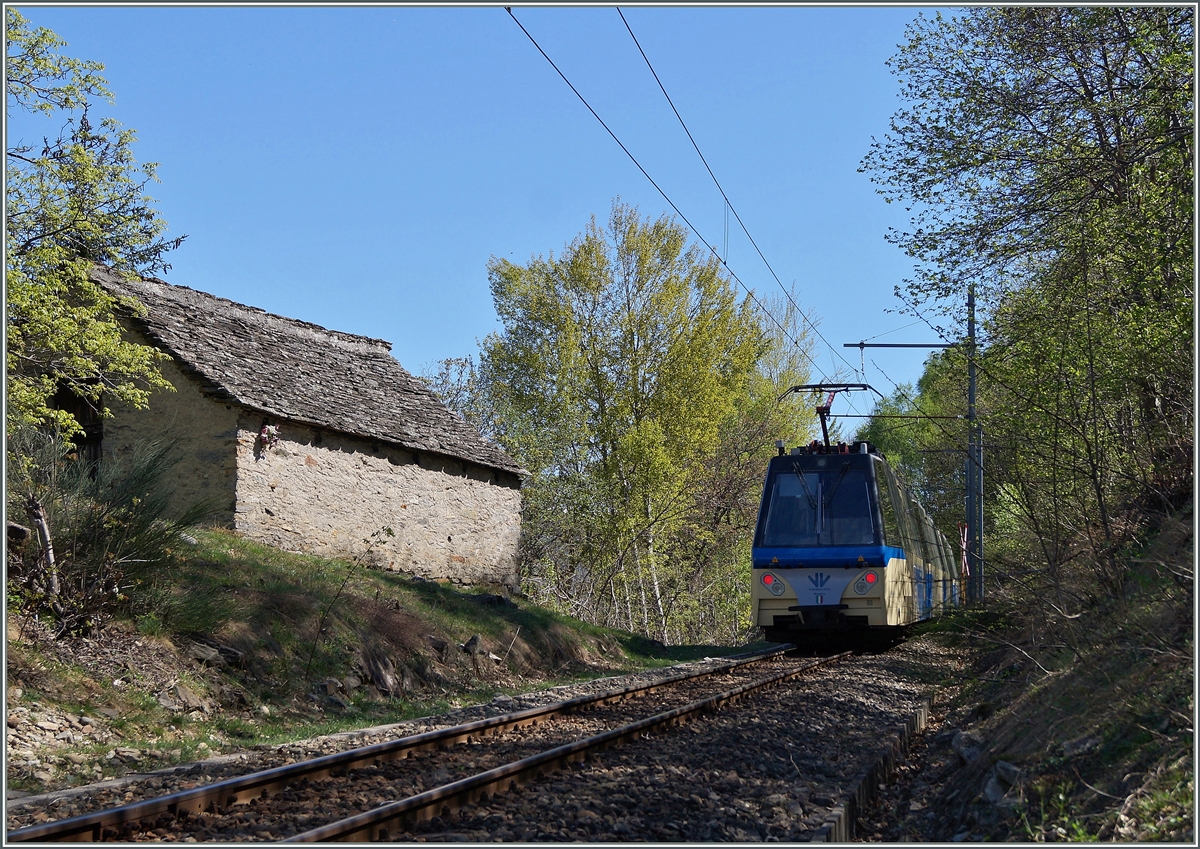 Ein SSIF ABe 12/16 (ABe/P/Be/Be)  Treno Panoramico Vigezzo Vison  auf der Fahrt von Domodossola nach Locarno zwischen Verigo und Marone.
15. April 2014