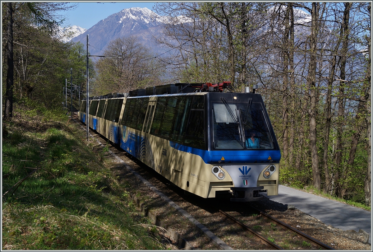 Ein SSIF  ABe 12/16 (ABe/P/Be/Be)  Treno Panoramico Vigezzo Vison  auf der Fahrt von Domodossola nach Locarno kurz vor Verigo. 
14. April 2014