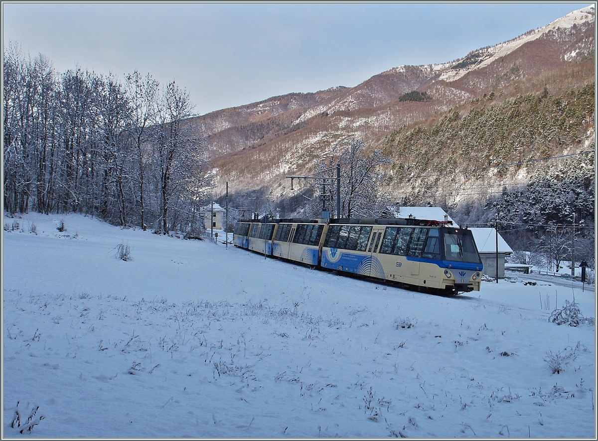 Ein SSIF ABe 12/16 Treno Panoramico fährt bei Gagnone-Orceso durchs schattige und deshalb verschneite Valle Vigezzo Richtung Locarno. 
8. Jan. 2016
