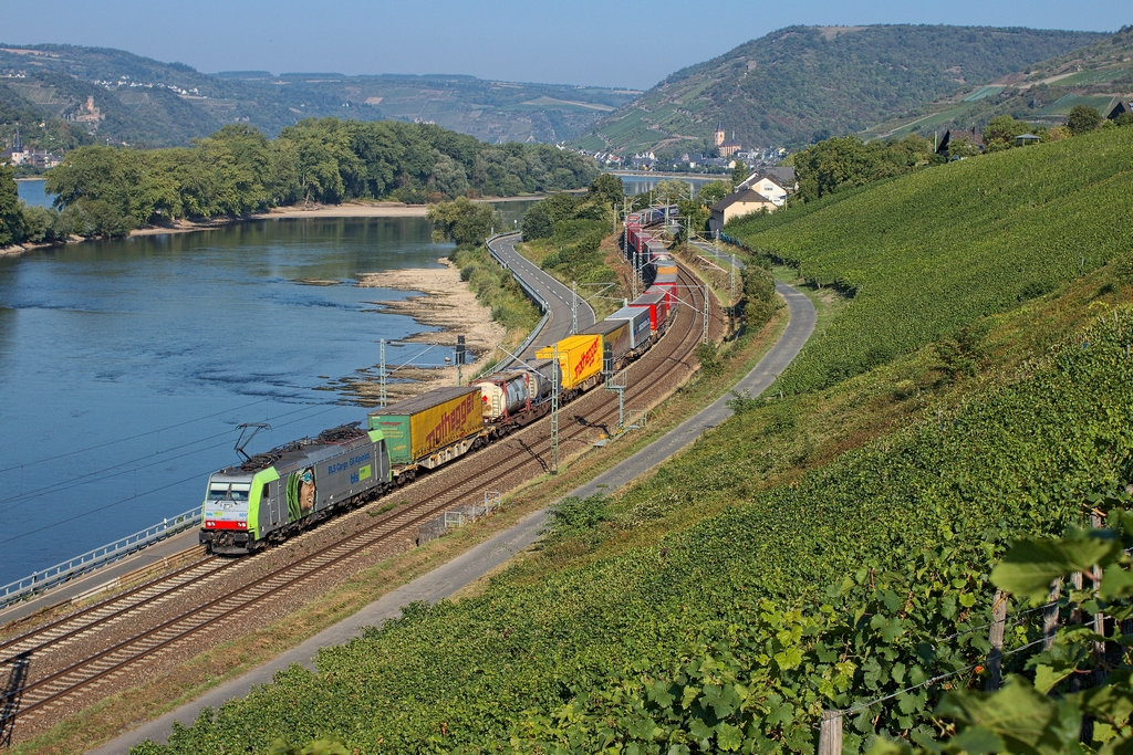 Ein Stammgast am Rhein sind die Loks von BLS. Am Morgen des 11.9.2015 brachte die 486 501 einen Klv durch Lorch Richtung Wiesbaden