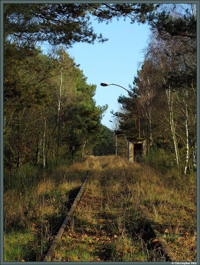 Ein stillgelegtes Anschlussgleis führt vom Bahnhof Bad Schmiedeberg zu einem größeren Betrieb bei Patzschwig. Langsam ergreift die Natur wieder Besitz von der Strecke. (08.12.2014)