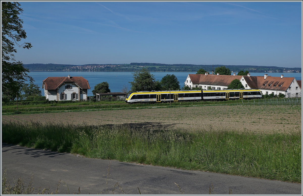 Ein SWEG Dieseltriebzug der Baureihe 622 ist bei der ehemaligen Station Birnau - Maurach als RB von Radolfzell nach Friedrichshafen unterwegs. Im Hintergrund schweift der Blick über den Überlingersee und den Bodanrücken in die weite Ferne.

18. Mai 2022
