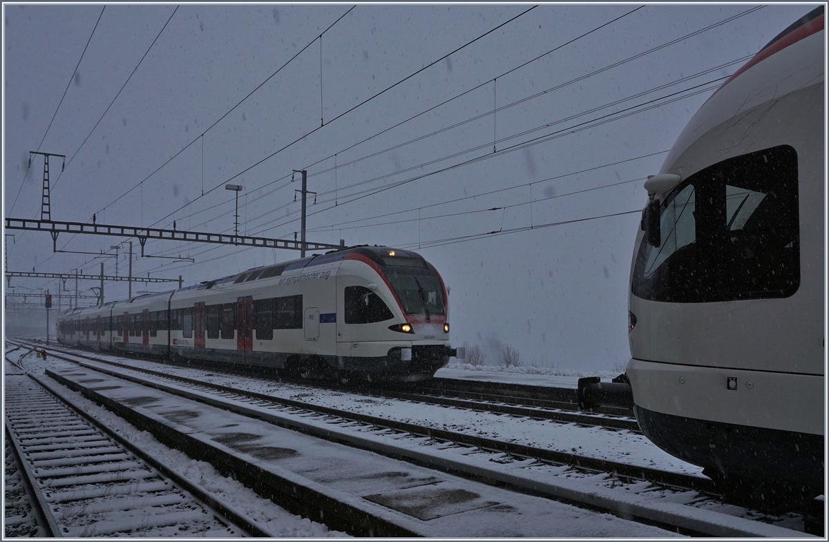  ein sympatischer zug.  erreicht Immensee, Kilometer Null der Gotthardbahn als S3 21349 von Luzern nach Brunnen unterwwegs. Dieser RABe 523 004 wurde 2004 als einer der ersten FLIRT überhaupt von den SBB für den Zuger Stadtbahnverkehr in Dienst gestellt und seither wird geflirtet, weltweit...
5. Jan. 2017