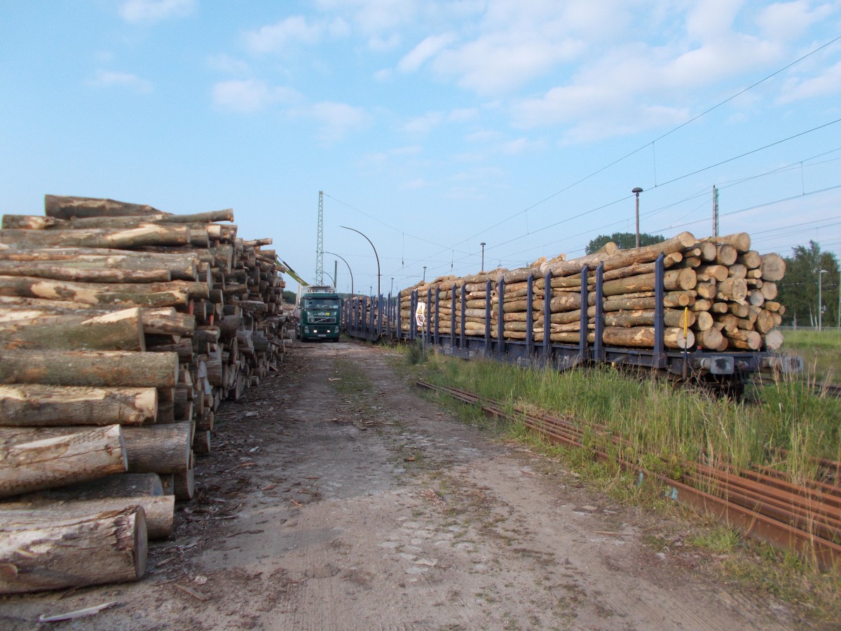 Ein Teil Holz wurde bereits,am 25.Juni 2015,auf Snps Wagen in Bergen/Rügen verladen.