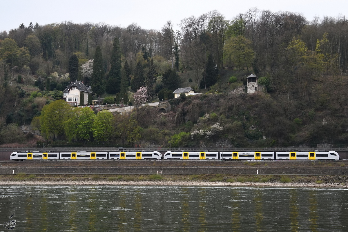 Ein Trans Regio-Disero MC-Duo (460 007 & ?) auf der linken Rheinseite bei Remagen, so gesehen Mitte April 2021.