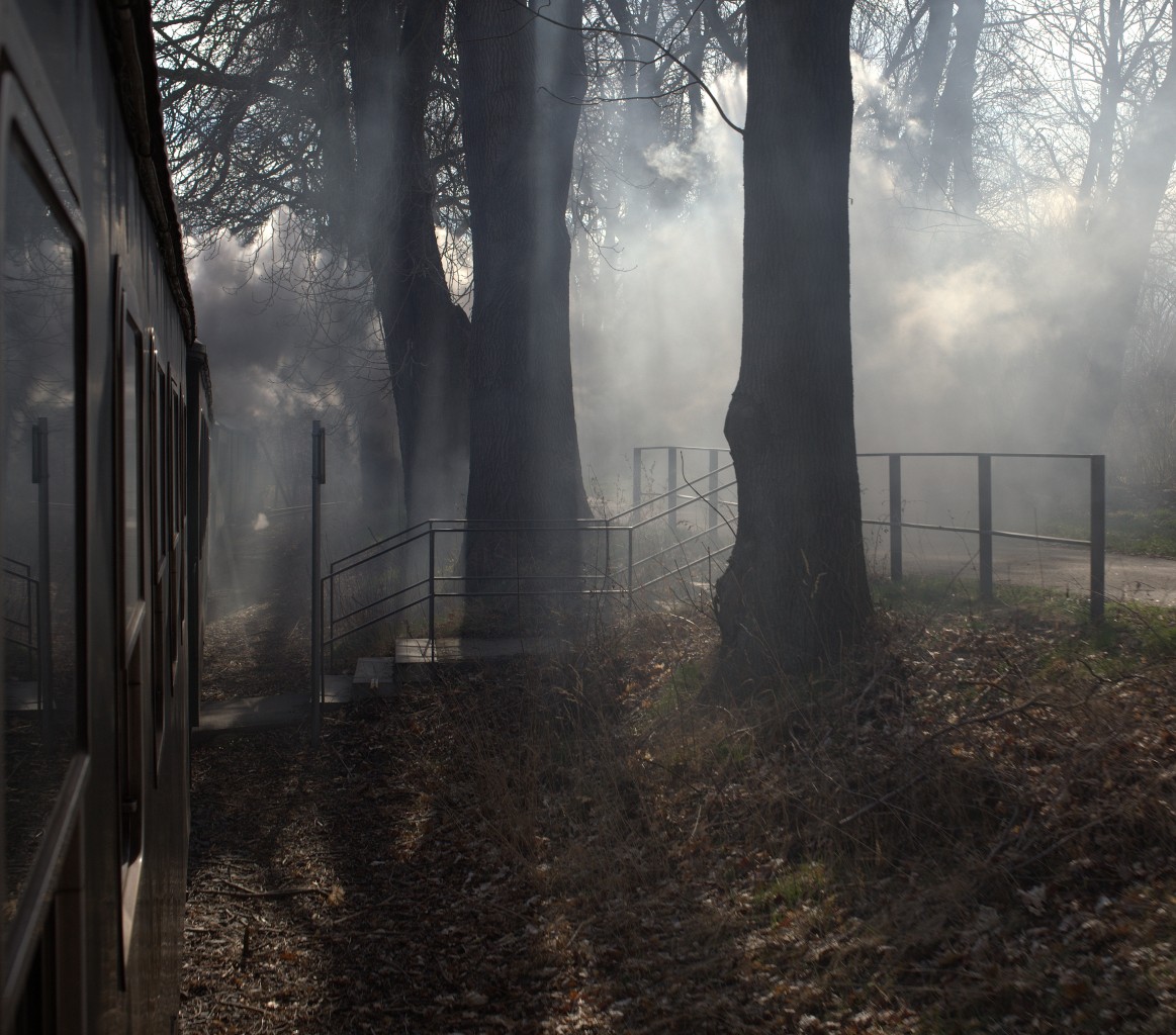 Ein  Treppen-BÜ  an der Döllnitzbahn. 22.03.2015 13:58 Uhr.