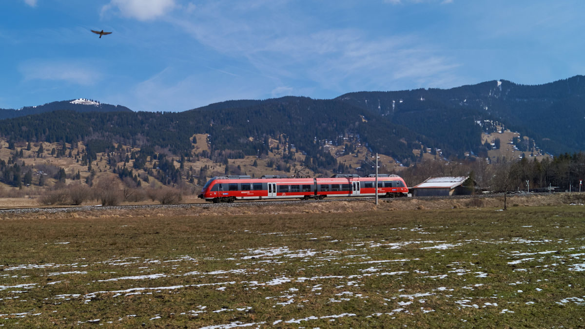 Ein unbekannter Zwerghamster hatte am 25.03.2018 Oberammergau in Richtung Murnau verlassen.