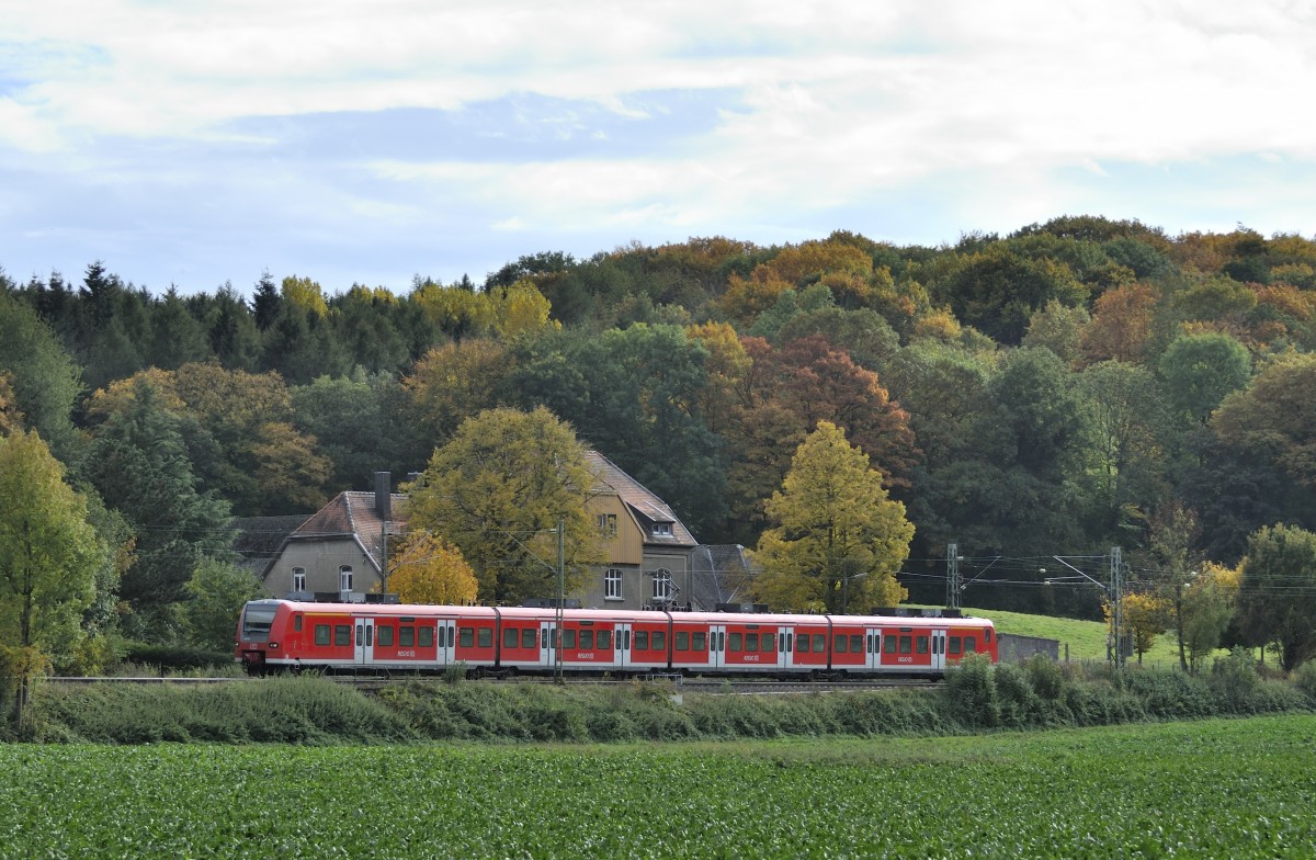 Ein unbekanter Triebwagen 425 der Rhein-Niers-Bahn im Wurmtal bei Rimburg, �bach-Palenber auf der KBS 485 am 21.10.2013