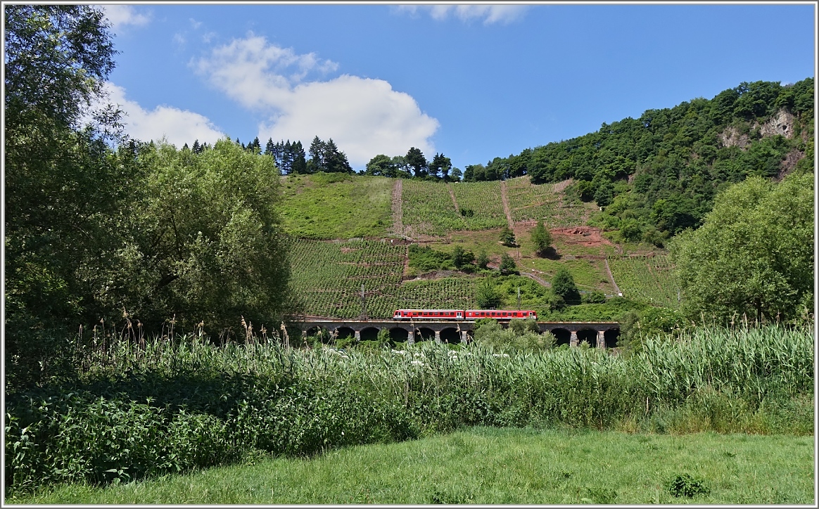 Ein VT 628 auf der Fahrt über die Moselweinstrecke beim Pündrich-Hangviadukt.
(21.06.2014)