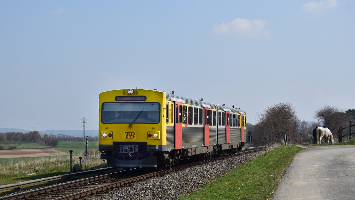 Ein VT2E als RB15 Bad Homburg - Brandoberndorf zwischen Wehrheim und Neu Anspach. Aufgenommen am 31.3.2019 13:13