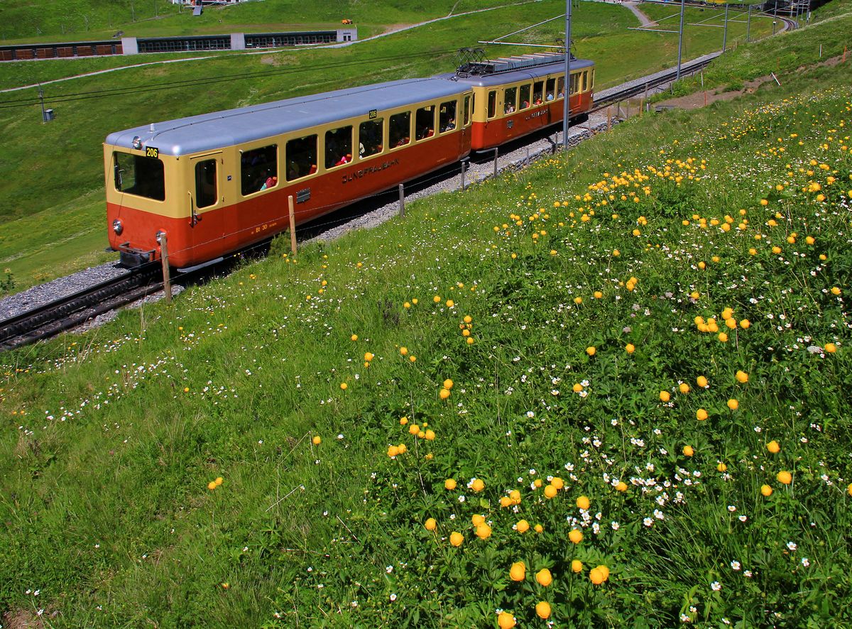 Ein weiterer Jungfraubahnzug im Originalanstrich ist Zug 206. 10.Juli 2016. 