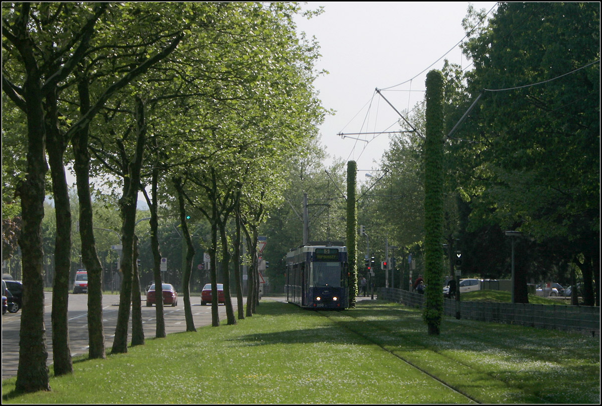 Ein weiträumig verlegte Straßenbahnstrecke in Freiberg -

Immer wieder sehr grün das Freiburg: Blick von der Haltestelle 'Robert-Koch-Straße' nach Süden auf die Rasenbahntrasse in westlicher Seitenlage der Fehrenbachallee.

11.05.2006 (M)