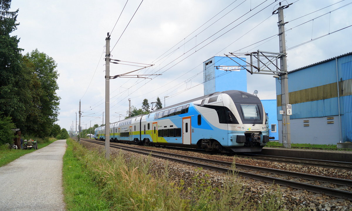 Ein WESTbahn 4010 als WB 969 (Salzburg Hbf - Wien Praterstern) bei Neumarkt-Köstendorf, 15.08.2018.