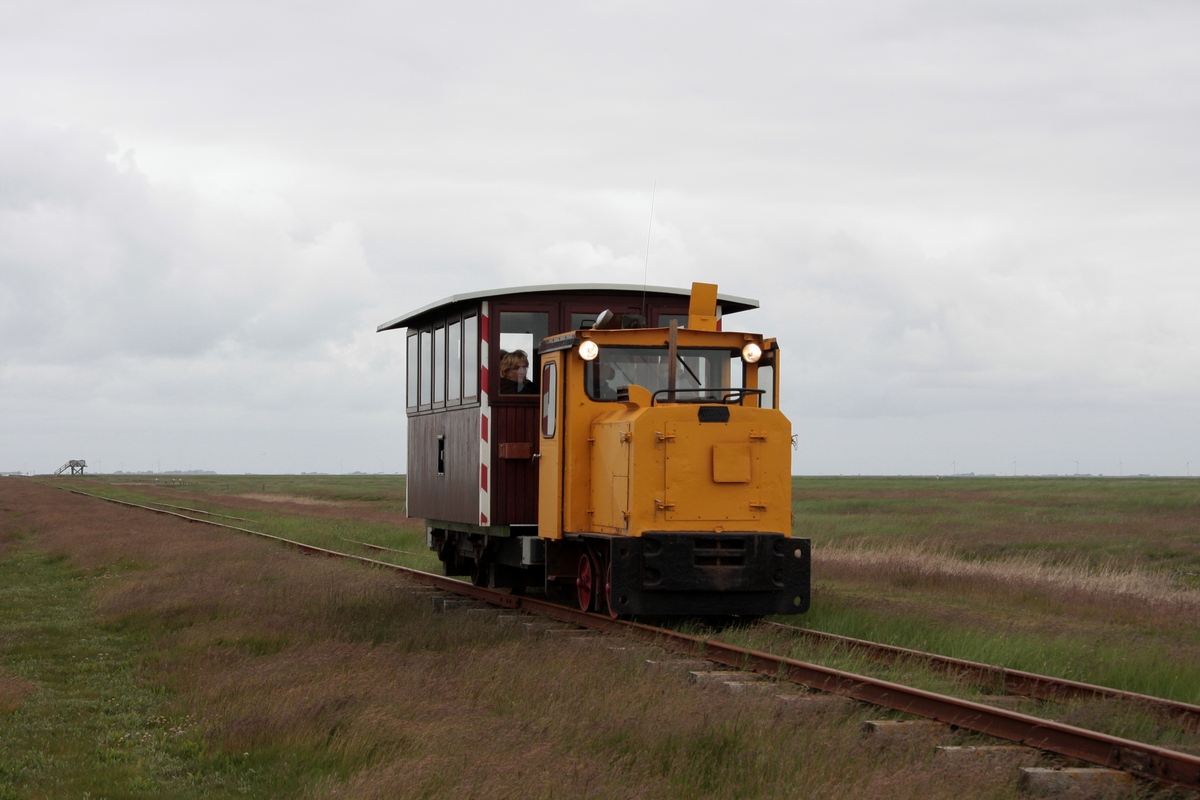 Ein Zug des LKN-SH bestehend aus Lok 1 (Schöma 4816, Bj. 1985) mit dem Sambawagen hat Hallig Langeness erreicht und wird gleich in den Halligbf einfahren.