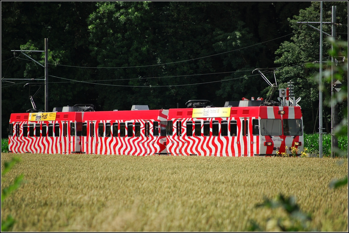 Ein Zug im Kornfeld. Das Frauenfeld-Wil-Bähnli kurz vor dem Halt bei Lüdem (27. Juni 2007, 14'25'36).  

(Ersatz für ein altes 800-Pixel-Bild)