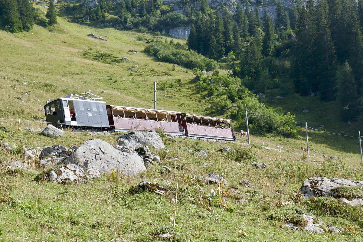 Ein Zug mit offenen Wagen unerwegs von der Schynigen Platte nach Wilderswil, am 26.8.17 oberhalb von Breitlauenen.
