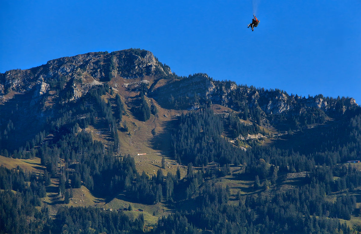 Ein Zug der Schynigen Platte Bahn im Abstieg von der Bergstation nach Breitlauenen.(Und auch ein Mensch im Abstieg). 4.Oktober 2018 