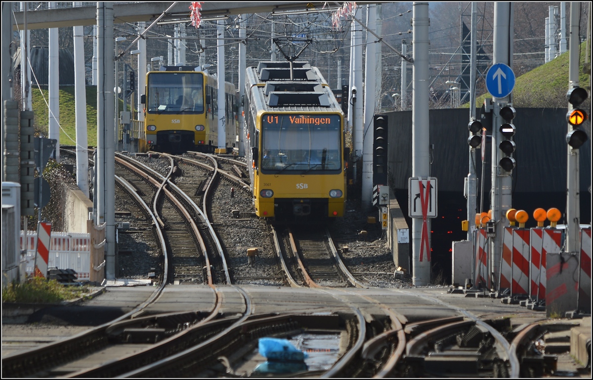 Ein Zug der SSB an einem kurzen Steigungsstück beim Rosensteinpark. Stuttgart, Februar 2016