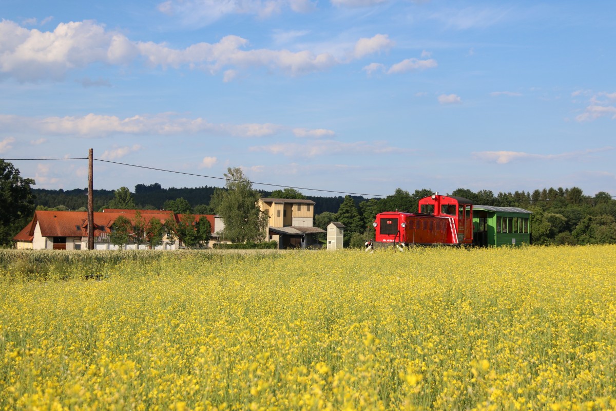Ein zweites mal an diesem Tag kam Mk48.2019 vor dem Zug zum Einsatz. Am Abend durfte Sie die Stilechten Waldbahnwagen die mit Holz beladen waren nach Wohlsdorf bei Preding Wieselsdorf zurückstellen. Hier im Bild mit dem einzigen übriggebliebenen  Fahrzeug der Fürst Liechtensteinschen Waldbahn bei Deutschlandsberg. 26,06,2015