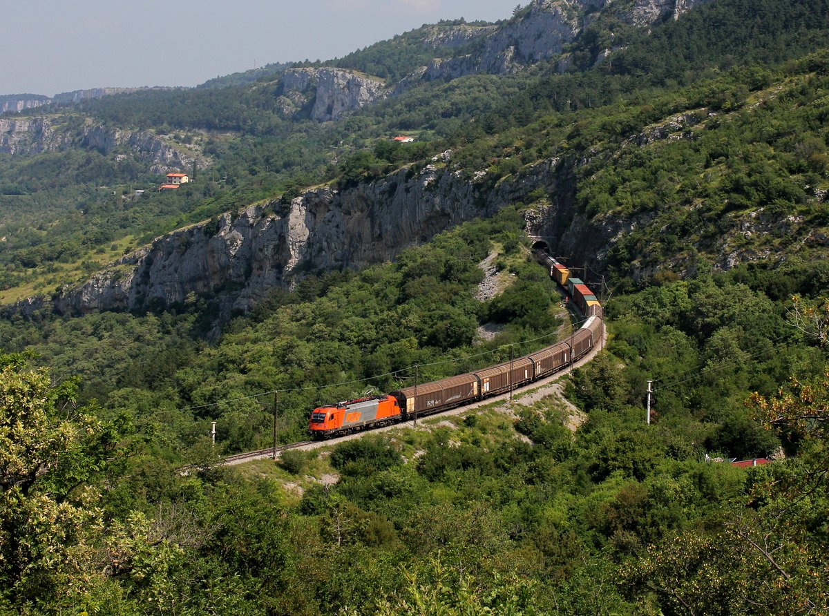 Eine 1216 mit einem Güterzug am 25.06.2016 unterwegs bei Zanigrad.